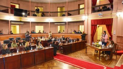 ENTRE RÍOS – La violencia digital tuvo amplio abordaje en la Cámara de Diputados