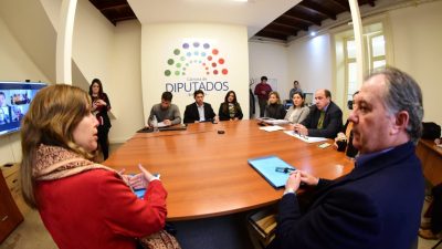 ENTRE RIOS – Diputadas y diputados trataron proyectos de ley sobre colegiaturas